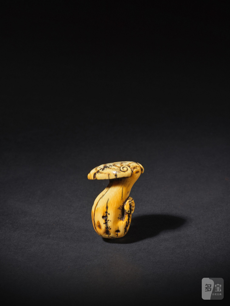 象牙彫根付 茸 銘「谷（方印）」 19世紀後期 | NETSUKE EN IVOIRE REPRÉSENTANT DES CHAMPIGNONS REISHI - 图8